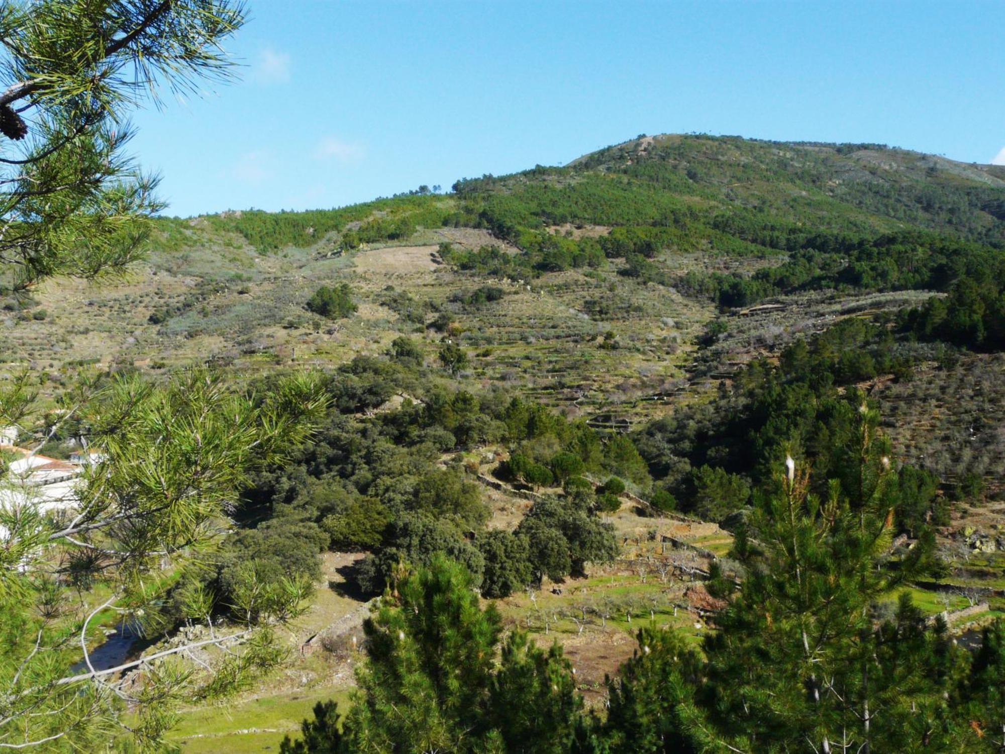 Apartamentos Rurales El Prado Pinofranqueado Luaran gambar